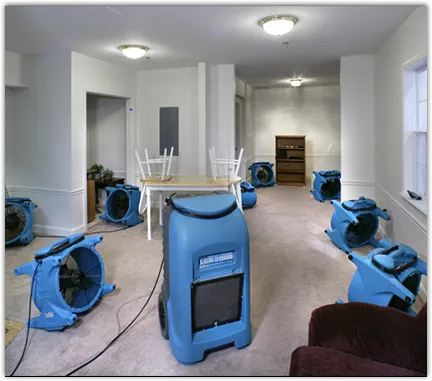 Contents Cleaning & Restoration in Palm Coast, FL