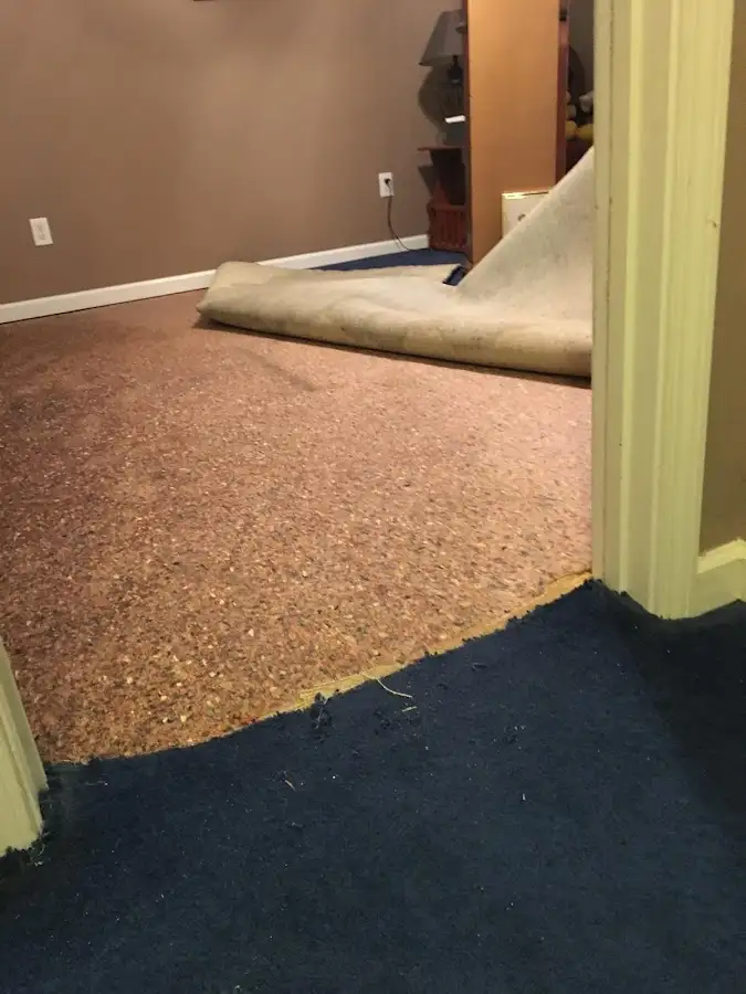 Carpet pad removal revealing water damage during Drying & Dehumidification in Palm Coast