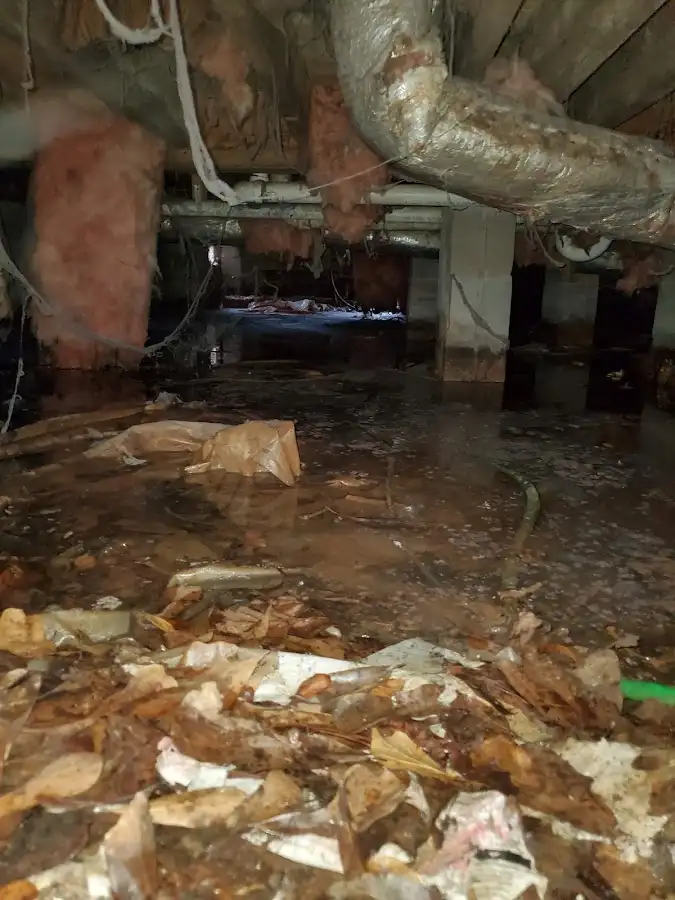 Crawl space flood assessment for Leak Detection & Repair in Palm Coast