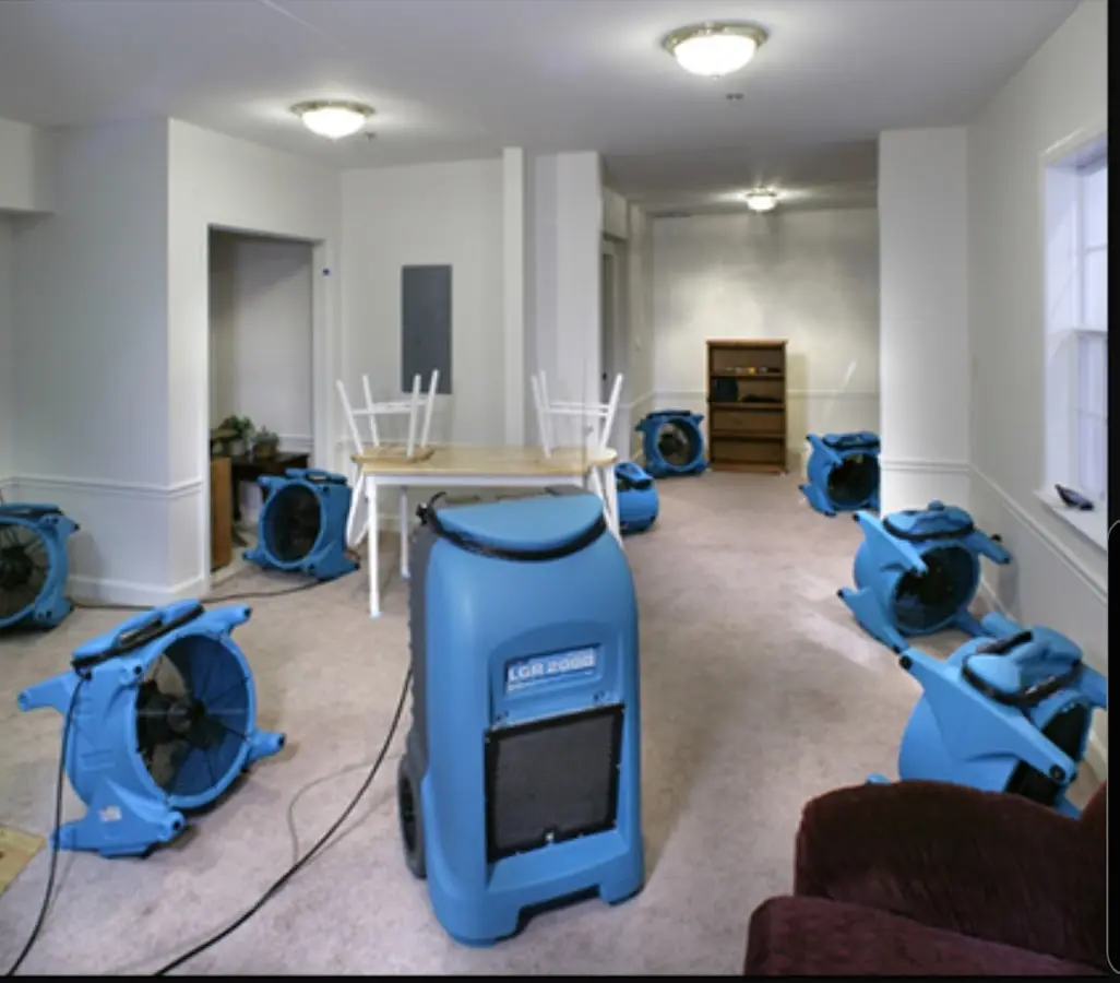 Air movers and dehumidifier setup for Water Extraction & Removal in Palm Coast