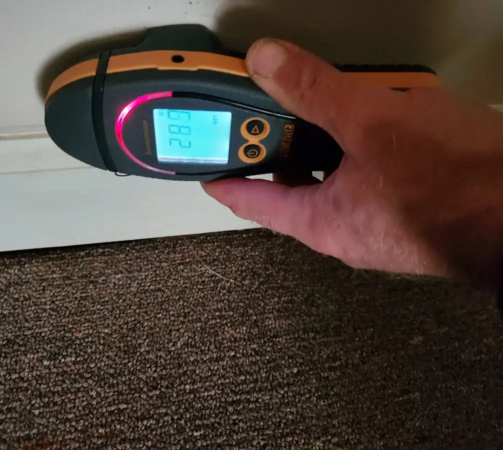 Moisture detection at baseboard during Sewage Cleanup & Sanitation in Palm Coast